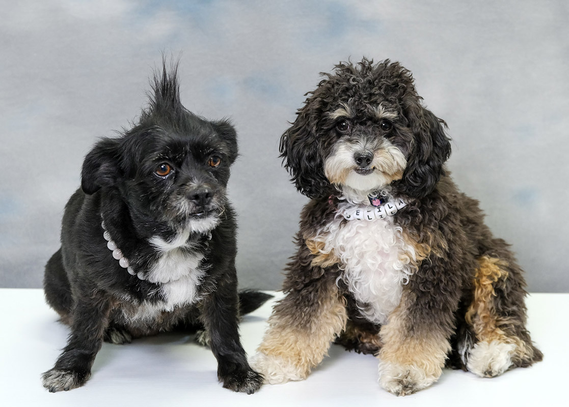 Luna and Delilah